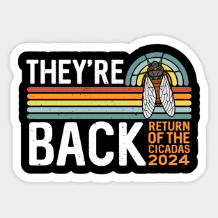 They're Back Cicada Invasion Funny Cicada 2024 Sticker